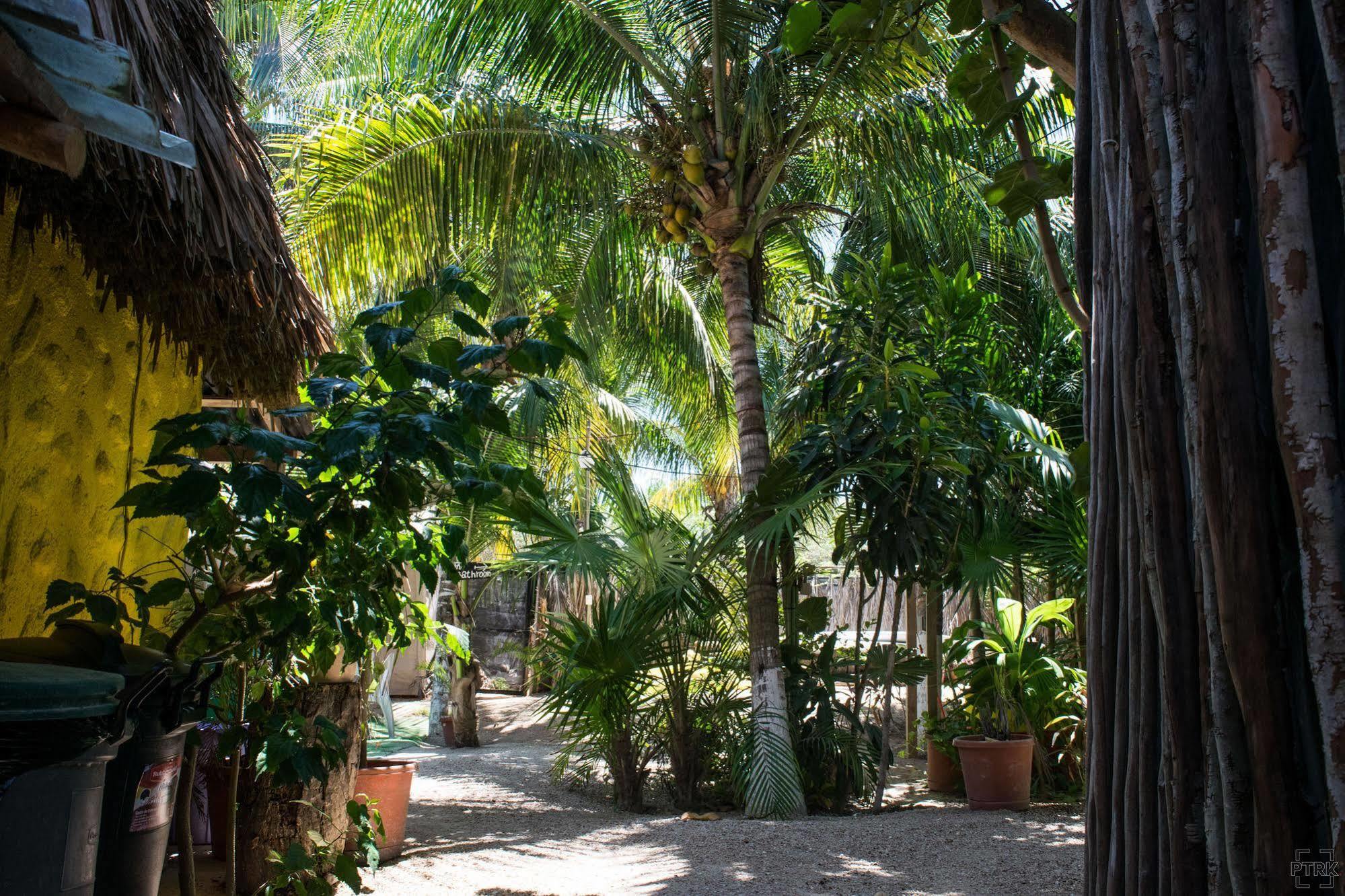 Casa Maya Holbox Zewnętrze zdjęcie